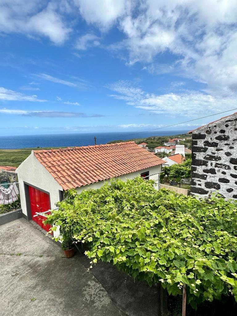 Casa Anjos Holiday Cottages Cedros Dış mekan fotoğraf