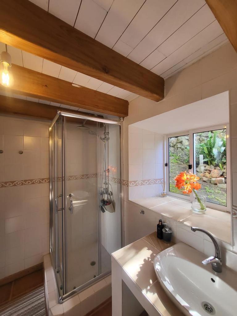 Casa Anjos Holiday Cottages Cedros Dış mekan fotoğraf