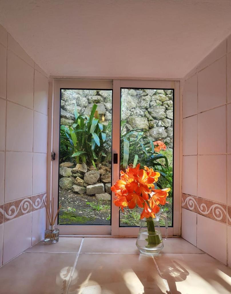 Casa Anjos Holiday Cottages Cedros Dış mekan fotoğraf