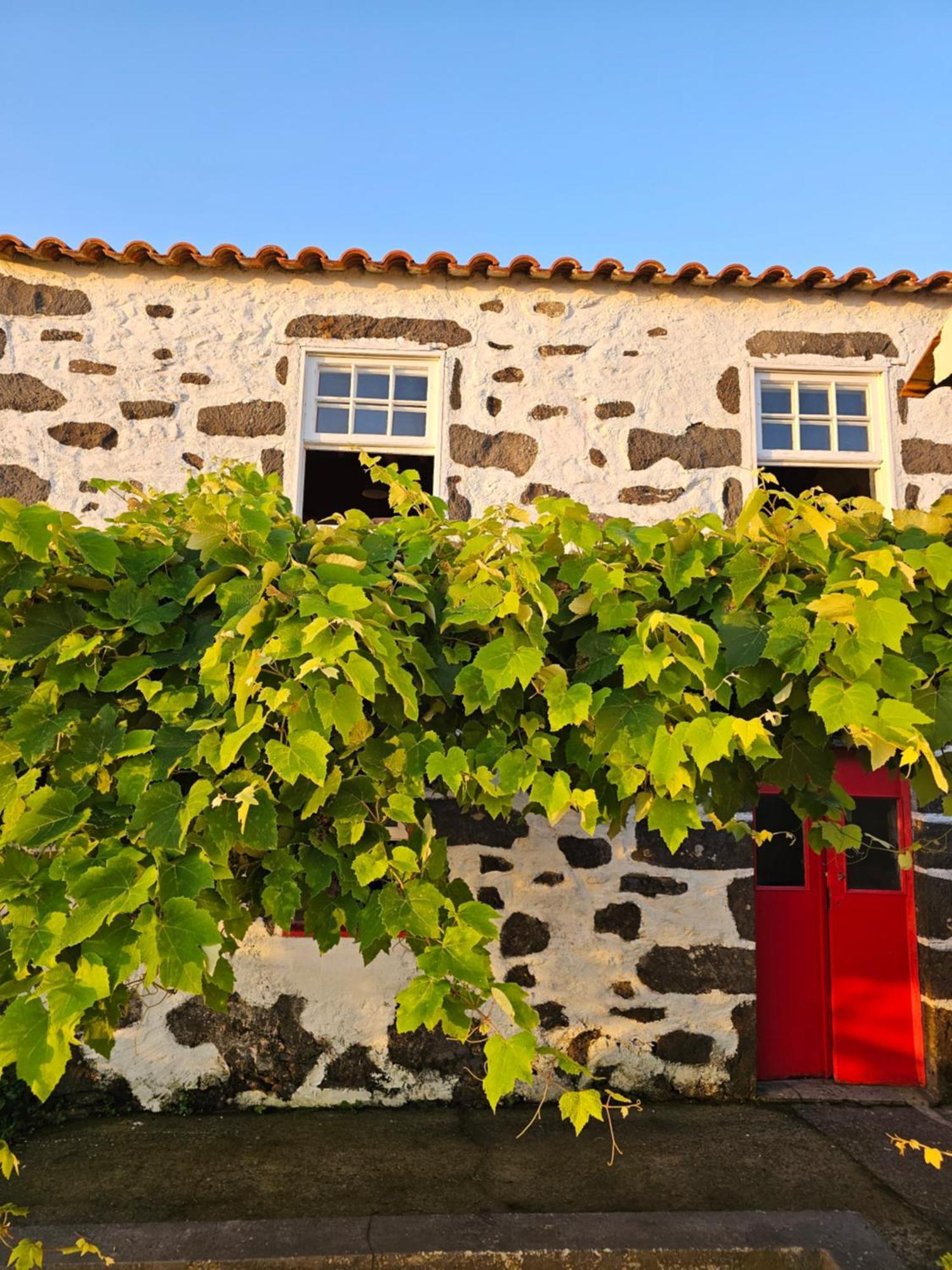 Casa Anjos Holiday Cottages Cedros Dış mekan fotoğraf