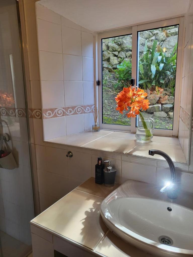 Casa Anjos Holiday Cottages Cedros Dış mekan fotoğraf