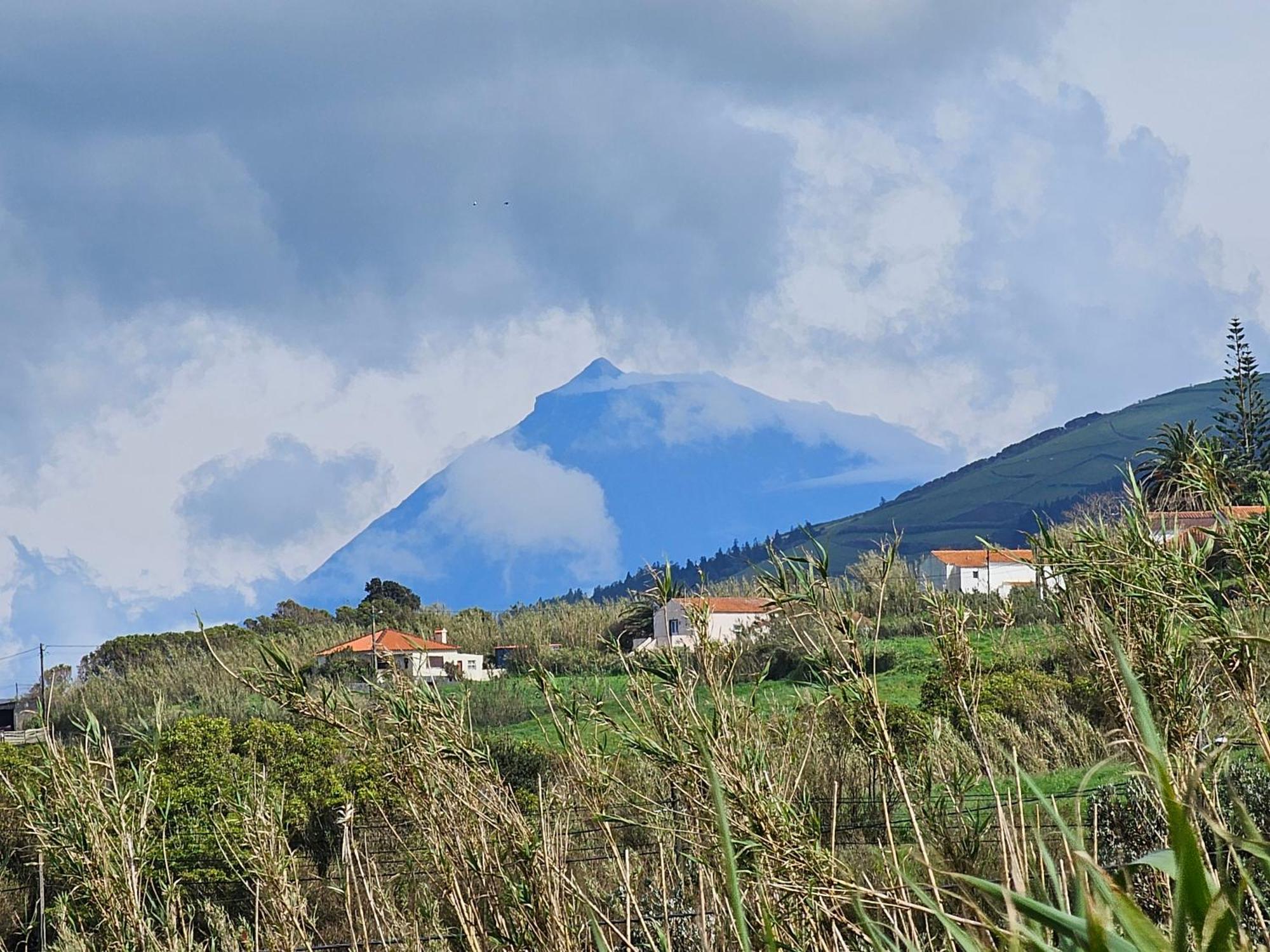 Casa Anjos Holiday Cottages Cedros Dış mekan fotoğraf